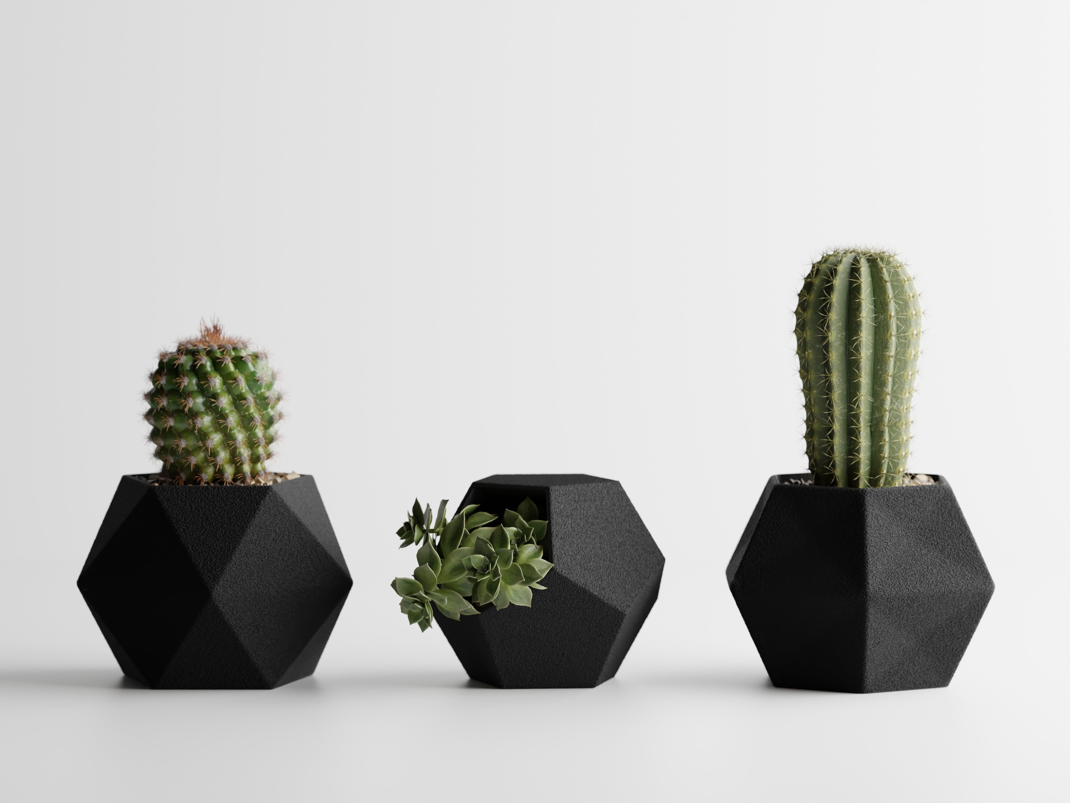 Catus Planters Set - 3D Printed Planters