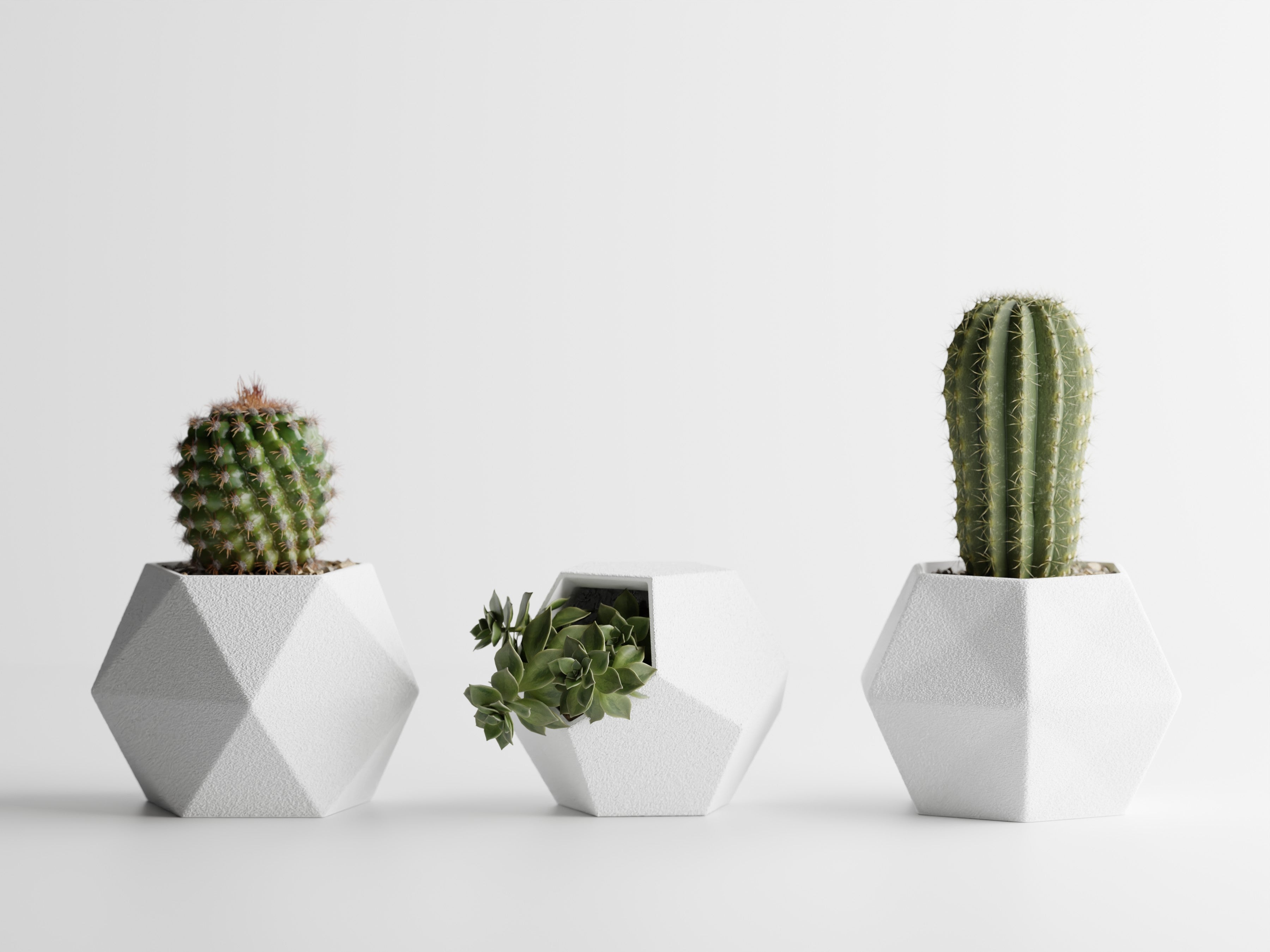 Catus Planters Set - 3D Printed Planters