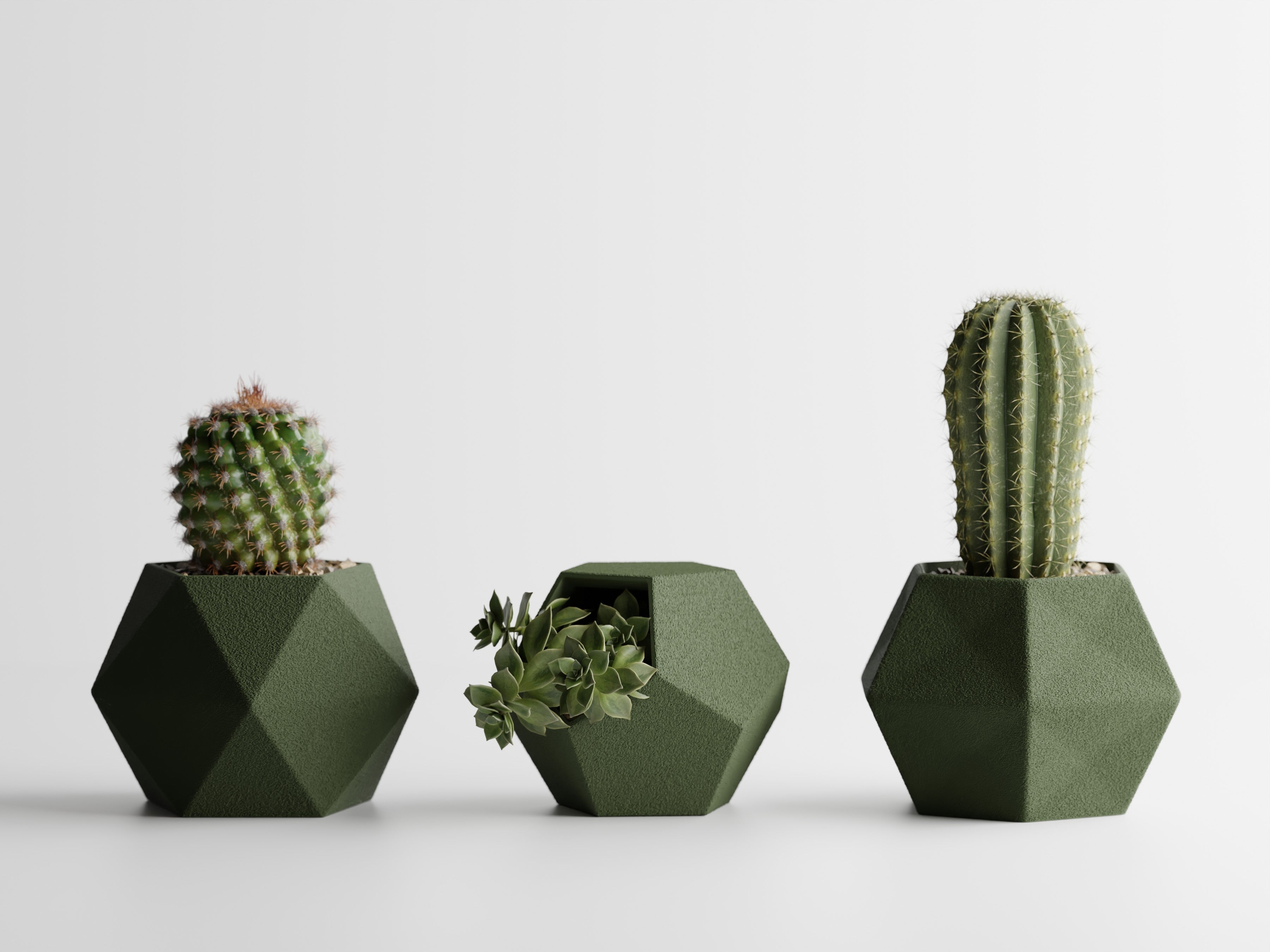 Catus Planters Set - 3D Printed Planters