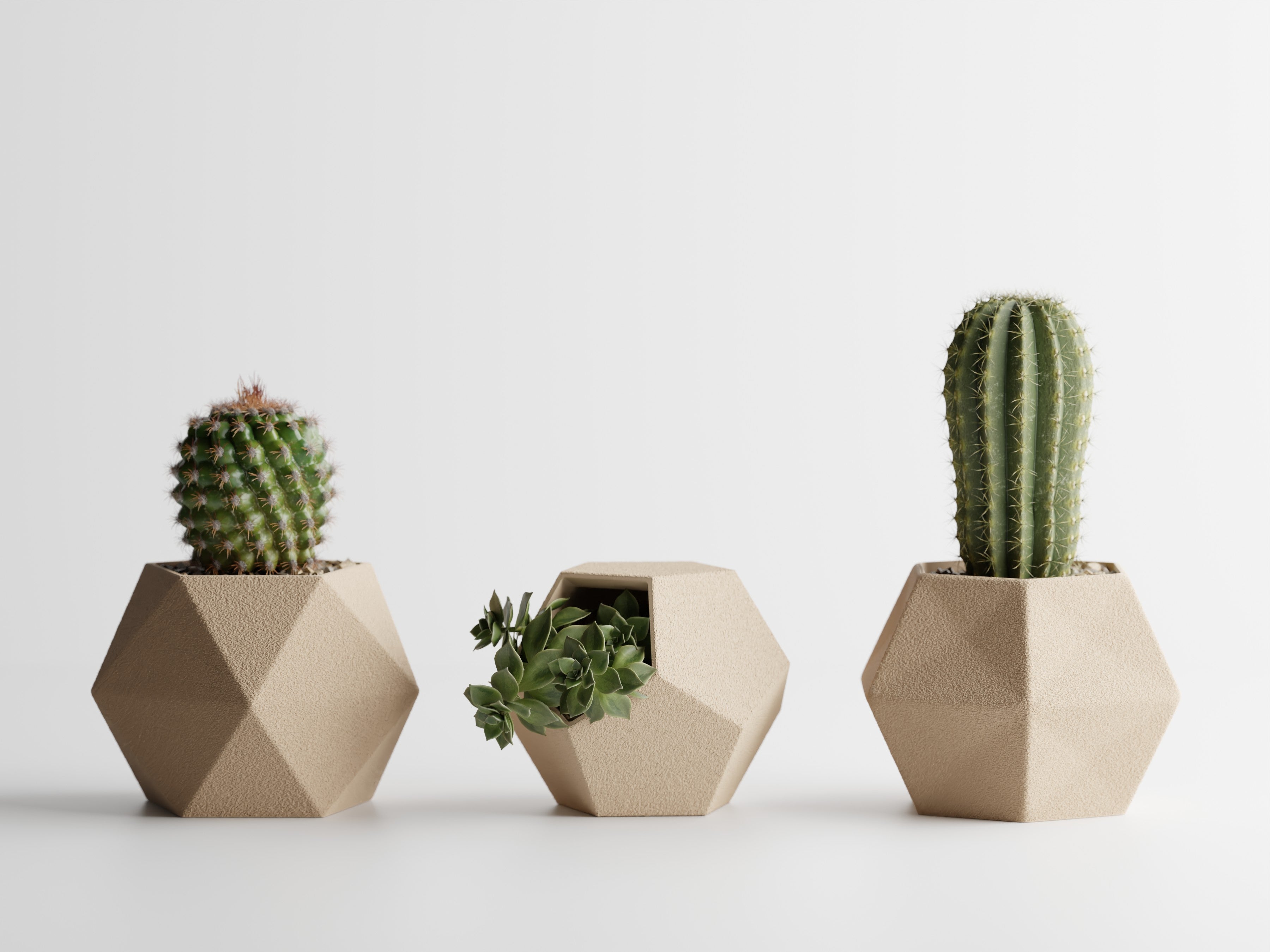 Catus Planters Set - 3D Printed Planters