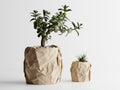 Crumbled Paper Planter -  3D Printed Planter