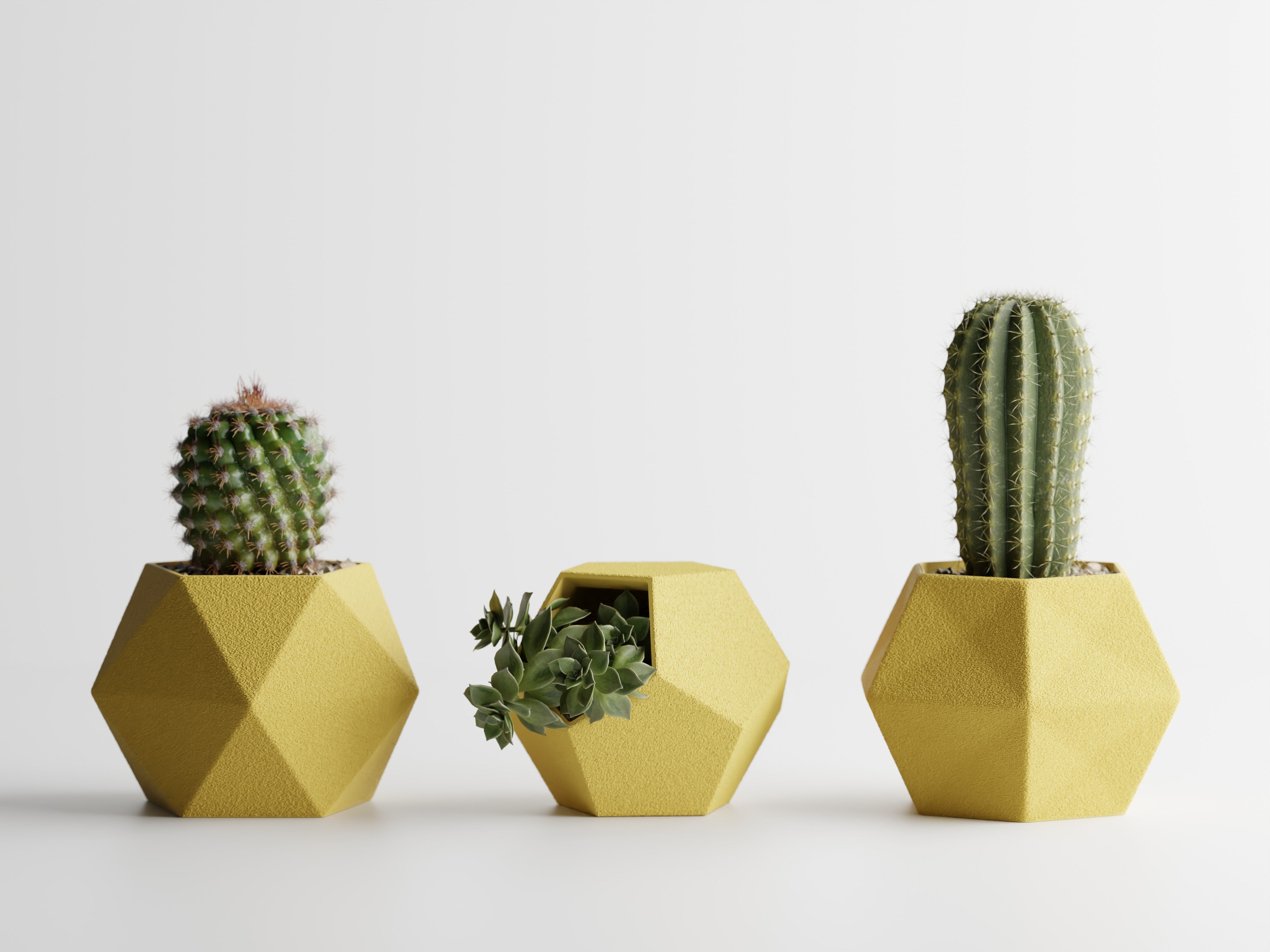 Catus Planters Set - 3D Printed Planters