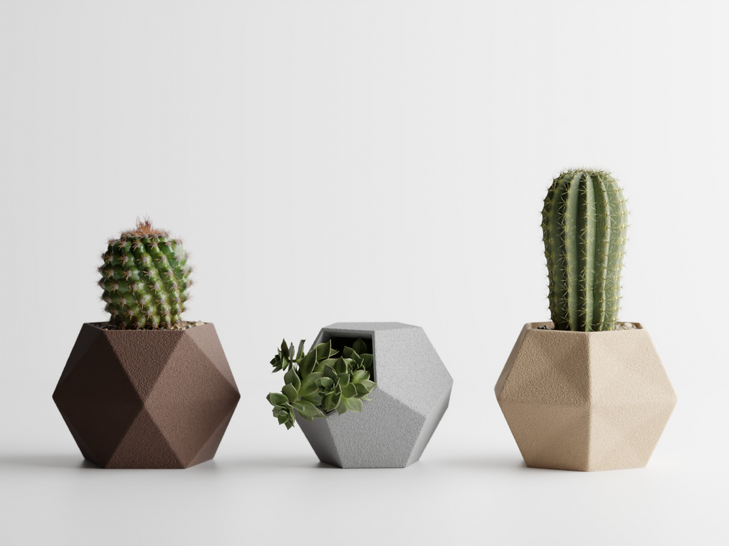 Catus Planters Set - 3D Printed Planters