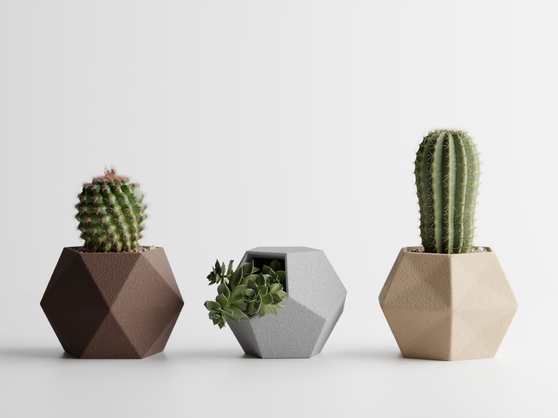 Catus Planters Set - 3D Printed Planters