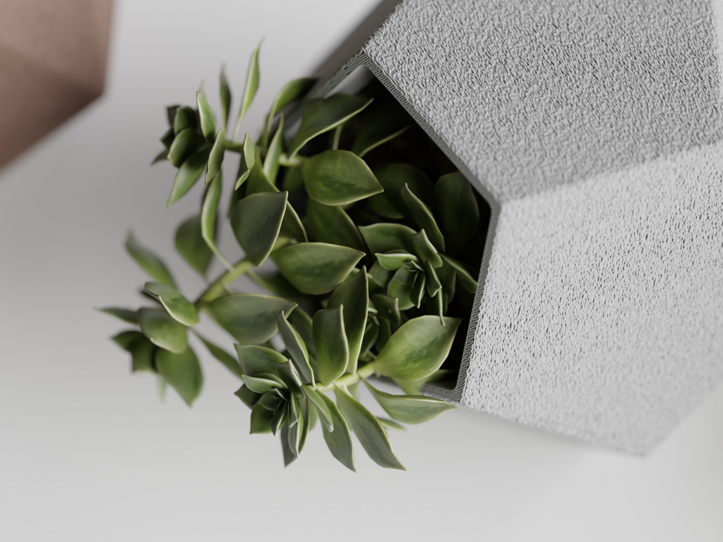 Catus Planters Set - 3D Printed Planters