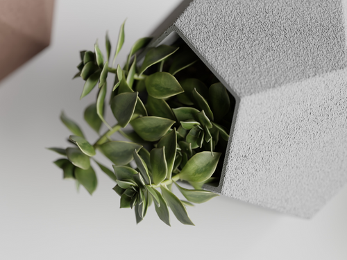 Catus Planters Set - 3D Printed Planters