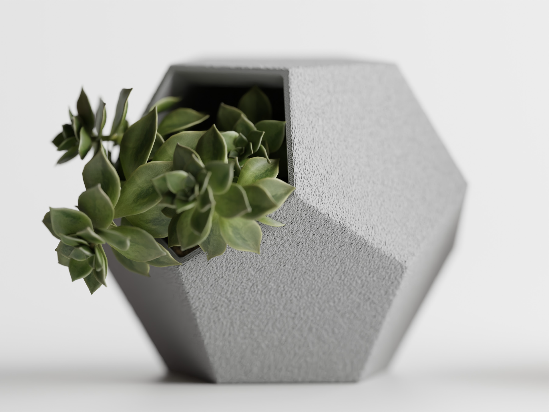 Catus Planters Set - 3D Printed Planters