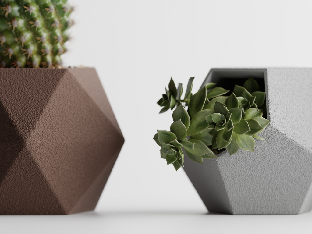 Catus Planters Set - 3D Printed Planters