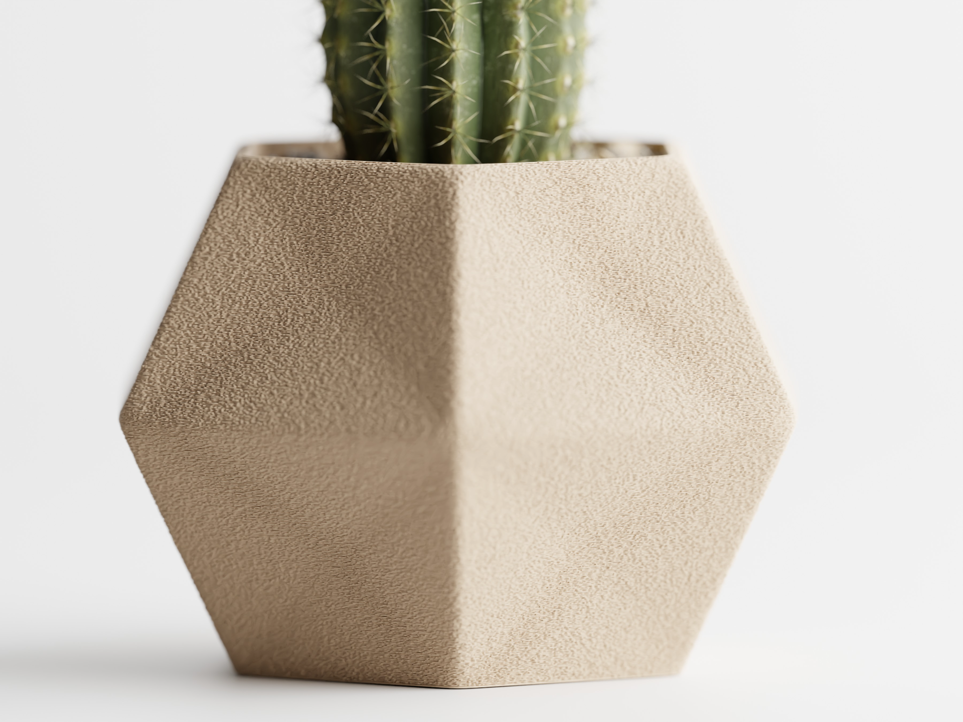 Catus Planters Set - 3D Printed Planters
